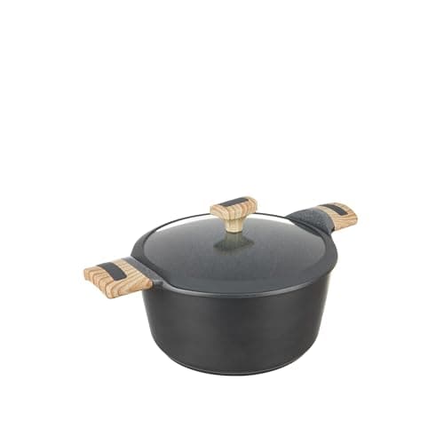 20 cm Saucepan with Lid, Evolution